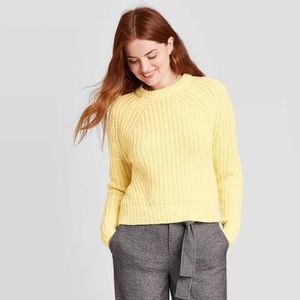 NWT A New Day Sweater
